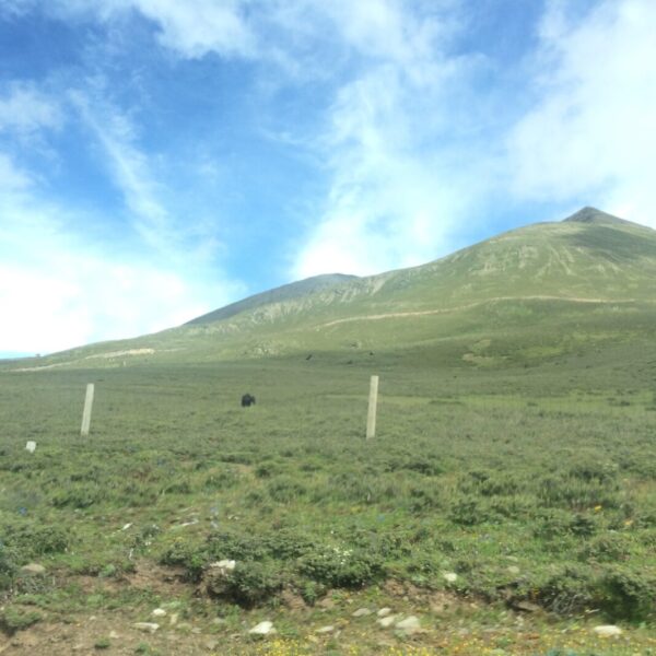 東チベット高山地帯の社内からの風景